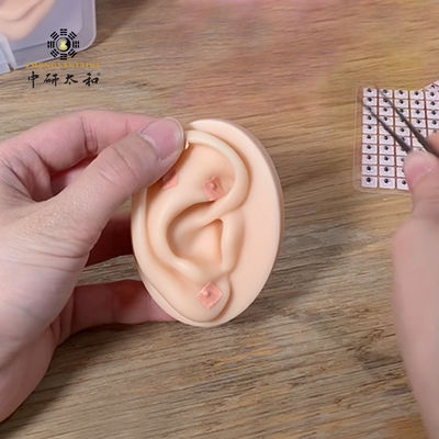 100 pcs Therapy Acupoint Ear Vaccaria Benih Kedokteran Cina Alat Herbal