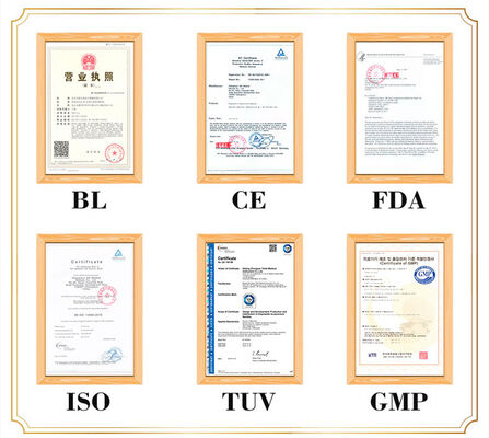 Detail Dan Realistis Representasi Badan Manusia Akupunktur Model Tubuh Portable Ringan Dan Mudah Untuk Transportasi Untuk Pengajaran Kedokteran
