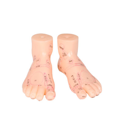 20 CM Obat Cina Pijat Kaki Model Bahan PVC 13/17/19cm