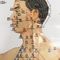 3 pcs Bagan Akupunktur Meridian Budaya Akupunktur ISO